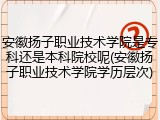 安徽扬子职业技术学院是专科还是本科院校呢(安徽扬子职业技术学院学历层次)