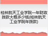 桂林航天工业学院一年财政拨款大概多少钱(桂林航天工业学院年拨款)