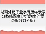 湖南外贸职业学院历年录取分数线深度分析(湖南外贸录取分数分析)