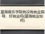 星海音乐学院有没有就业指导，好就业吗(星海就业如何)