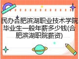民办合肥滨湖职业技术学院毕业生一般年薪多少钱(合肥滨湖职院薪资)
