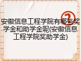 安徽信息工程学院有哪些奖学金和助学金呢(安徽信息工程学院奖助学金)