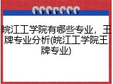 皖江工学院有哪些专业，王牌专业分析(皖江工学院王牌专业)
