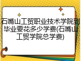 石嘴山工贸职业技术学院到毕业要花多少学费(石嘴山工贸学院总学费)