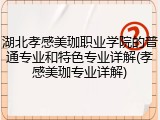 湖北孝感美珈职业学院的普通专业和特色专业详解(孝感美珈专业详解)