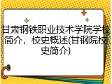 甘肃钢铁职业技术学院学校简介，校史概述(甘钢院校史简介)