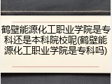 鹤壁能源化工职业学院是专科还是本科院校呢(鹤壁能源化工职业学院是专科吗)