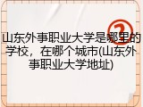 山东外事职业大学是哪里的学校，在哪个城市(山东外事职业大学地址)