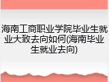 海南工商职业学院毕业生就业大致去向如何(海南毕业生就业去向)