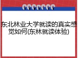 东北林业大学就读的真实感觉如何(东林就读体验)