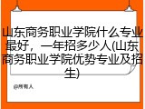 山东商务职业学院什么专业最好，一年招多少人(山东商务职业学院优势专业及招生)
