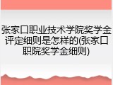 张家口职业技术学院奖学金评定细则是怎样的(张家口职院奖学金细则)