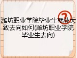 潍坊职业学院毕业生就业大致去向如何(潍坊职业学院毕业生去向)