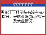 黑龙江工程学院有没有就业指导，好就业吗(就业指导及就业情况)