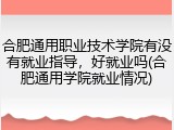 合肥通用职业技术学院有没有就业指导，好就业吗(合肥通用学院就业情况)