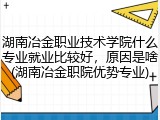 湖南冶金职业技术学院什么专业就业比较好，原因是啥(湖南冶金职院优势专业)