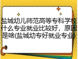 盐城幼儿师范高等专科学校什么专业就业比较好，原因是啥(盐城幼专好就业专业)