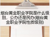 烟台黄金职业学院是什么级别，公办还是民办(烟台黄金职业学院性质级别)