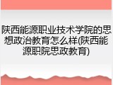 陕西能源职业技术学院的思想政治教育怎么样(陕西能源职院思政教育)