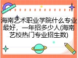海南艺术职业学院什么专业最好，一年招多少人(海南艺校热门专业招生数)