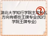 湖北大学知行学院主攻什么方向有哪些王牌专业(知行学院王牌专业)