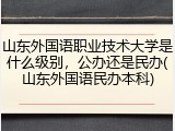 山东外国语职业技术大学是什么级别，公办还是民办(山东外国语民办本科)