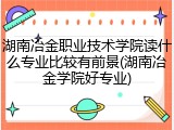 湖南冶金职业技术学院读什么专业比较有前景(湖南冶金学院好专业)