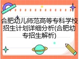 合肥幼儿师范高等专科学校招生计划详细分析(合肥幼专招生解析)