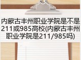 内蒙古丰州职业学院是不是211或985高校(内蒙古丰州职业学院是211/985吗)