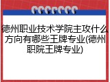 德州职业技术学院主攻什么方向有哪些王牌专业(德州职院王牌专业)