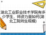 湖北工业职业技术学院有多少学生，师资力量如何(湖北工院师生规模)