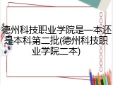 德州科技职业学院是一本还是本科第二批(德州科技职业学院二本)