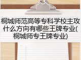 桐城师范高等专科学校主攻什么方向有哪些王牌专业(桐城师专王牌专业)