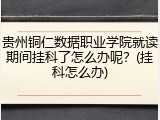 贵州铜仁数据职业学院就读期间挂科了怎么办呢？(挂科怎么办)