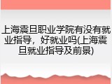 上海震旦职业学院有没有就业指导，好就业吗(上海震旦就业指导及前景)