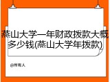 燕山大学一年财政拨款大概多少钱(燕山大学年拨款)