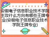 安徽电子信息职业技术学院主攻什么方向有哪些王牌专业(安徽电子信息职业技术学院王牌专业)