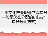 四川文化产业职业学院宿舍一般是怎么分配的(川文产宿舍分配方式)