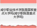 咸宁职业技术学院是国家重点大学吗(咸宁职院是重点大学吗)
