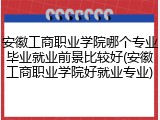 安徽工商职业学院哪个专业毕业就业前景比较好(安徽工商职业学院好就业专业)