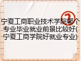宁夏工商职业技术学院哪个专业毕业就业前景比较好(宁夏工商学院好就业专业)