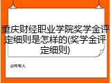 重庆财经职业学院奖学金评定细则是怎样的(奖学金评定细则)