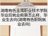 湖南有色金属职业技术学院毕业后就业前景怎么样，毕业生去向(湖南有色职院就业去向)