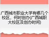 广西城市职业大学有哪几个校区，何时创办(广西城职大校区及创办时间)