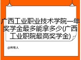 广西工业职业技术学院一年奖学金最多能拿多少(广西工业职院最高奖学金)