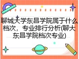 聊城大学东昌学院属于什么档次，专业排行分析(聊大东昌学院档次专业)