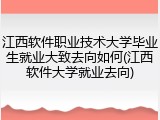 江西软件职业技术大学毕业生就业大致去向如何(江西软件大学就业去向)