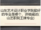 山东艺术设计职业学院最好的专业是哪个，详细阐述(山艺职院王牌专业)