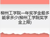 柳州工学院一年奖学金最多能拿多少(柳州工学院奖学金上限)