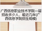 广西信息职业技术学院一届招收多少人，最近几年(广西信息学院招生规模)